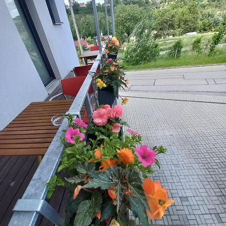Pension Salma Czeski Krumlow Zewnętrze zdjęcie