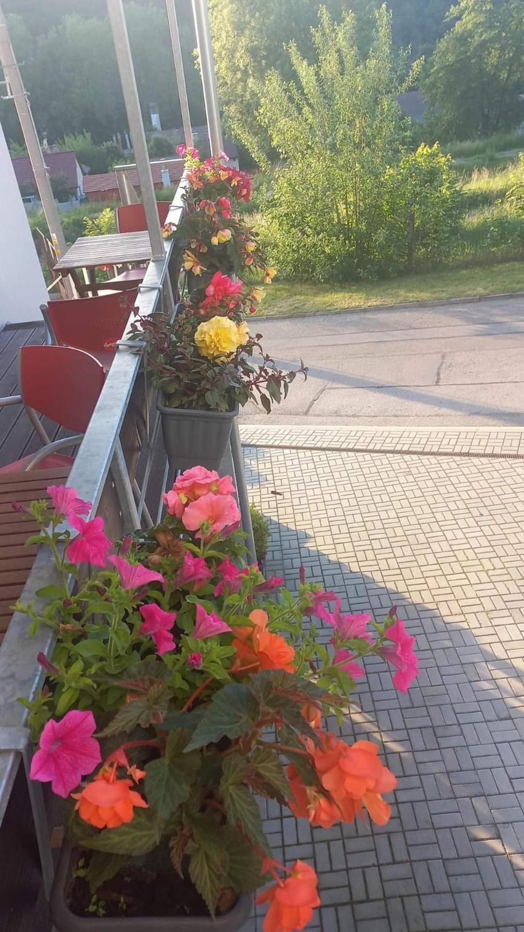 Pension Salma Czeski Krumlow Zewnętrze zdjęcie